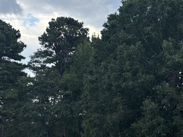 1511 Pine Street, Benton, AR 72015