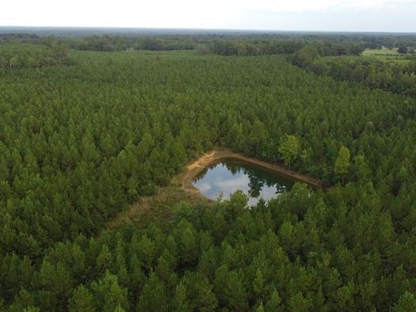 JIM EDWARDS Road , Franklinton, LA 70438