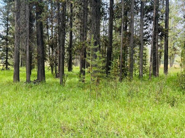 Lots 9&10 Warren Wagon Road, Secesh, ID 83547