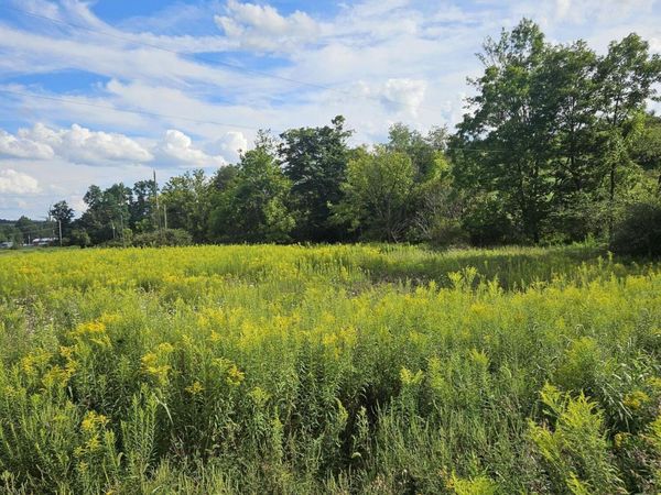 DISTILLERY HILL Road , Benton, PA 17814