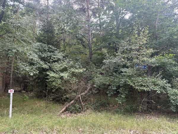 10181 Sherwood Circle, Unit #33, Stanwood, MI 49346