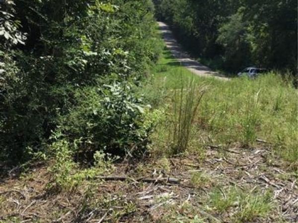 29637 ROSCOE DILLON Road , Franklinton, LA 70438