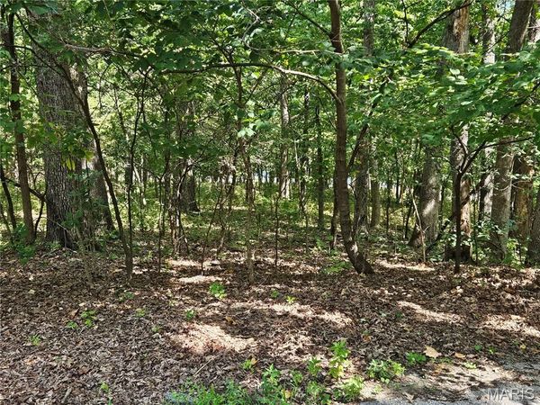 TBD Azelia Lane , Hillsboro, MO 63050