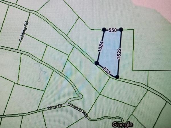 781 Gelding, Angels Camp, CA 95222