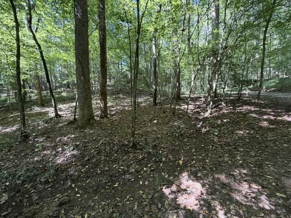 Tr. B&C Bear Hollow Way, Cherry Log, GA 30522