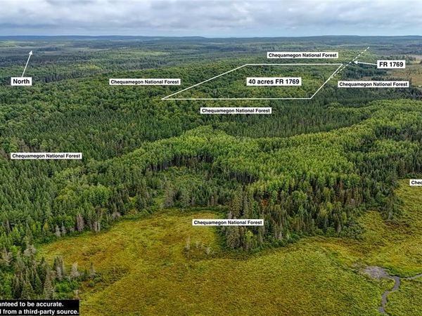 40 acres on FR 1769, Cable, WI 54821