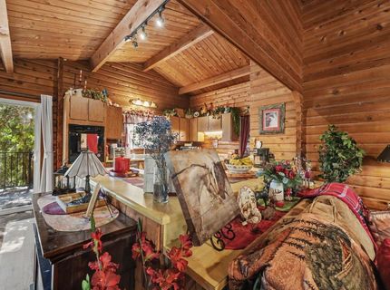16686 Madrone Ln, Pioneer, CA 95666 Photo