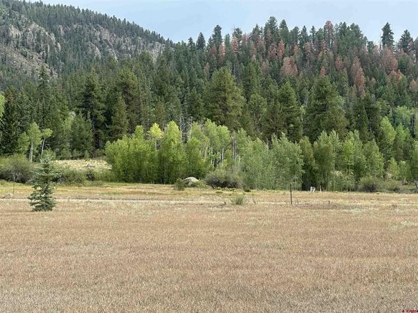 43 Million Lane, South Fork, CO 81154