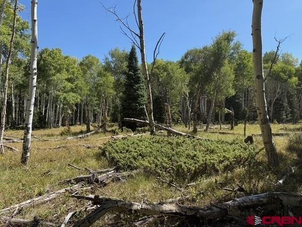 121 Ridge Road, Cimarron, CO 81220
