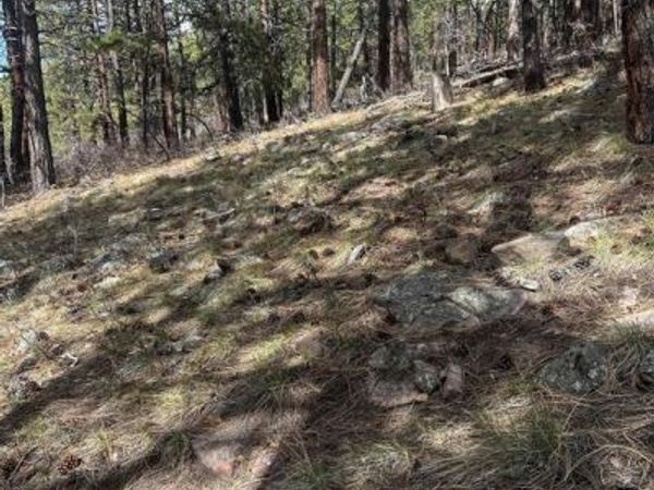 101 Pine Crest Drive, Bayfield, CO 81122