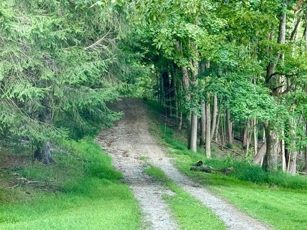 9898 Fallsburg Road NE, Newark, OH 43055