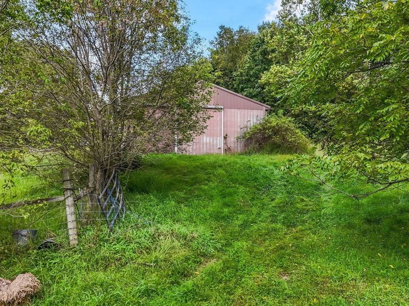 9898 Fallsburg Road NE, Newark, OH 43055 Photo 10
