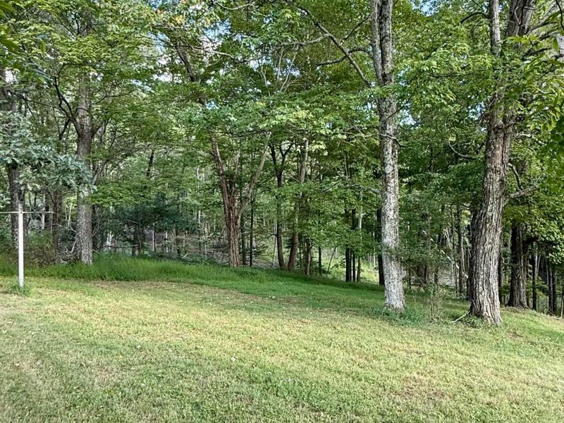 9898 Fallsburg Road NE, Newark, OH 43055 Photo 3