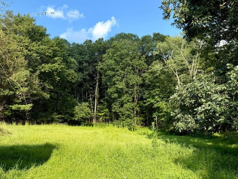 9898 Fallsburg Road NE, Newark, OH 43055 Photo 4