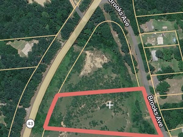 Hwy 43 N , Pelahatchie, MS 39145
