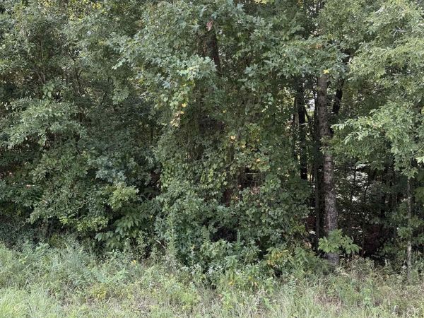 000 HWY 167 Highway , Hensley, AR 72065