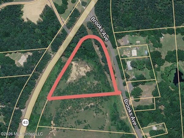 Hwy 43 N , Pelahatchie, MS 39145