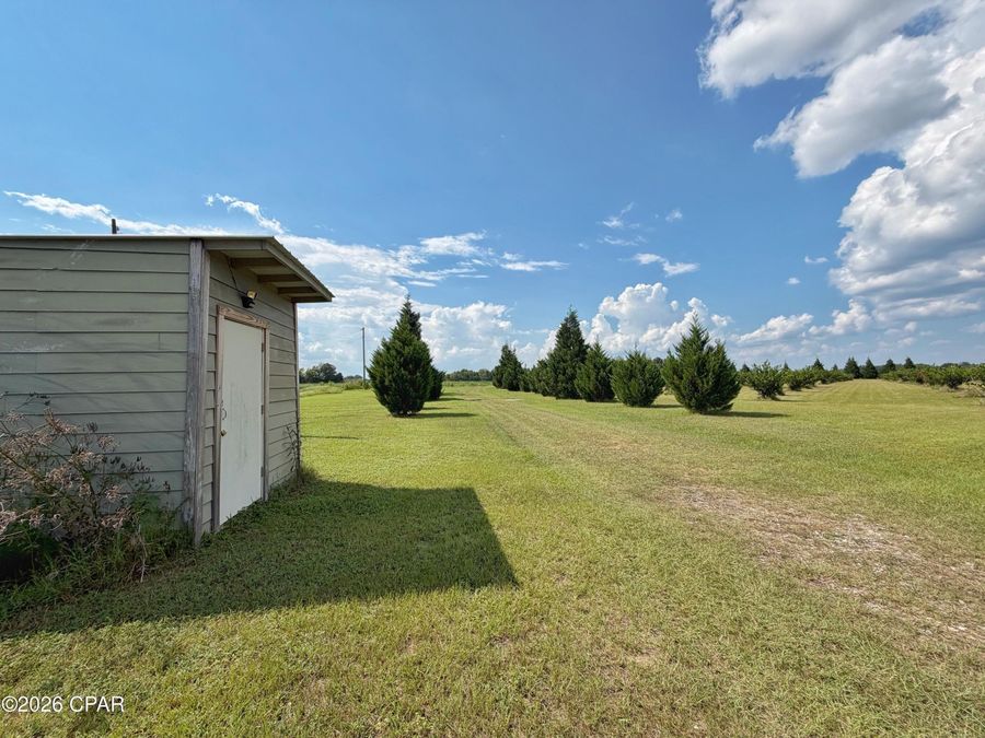 Property Image 49