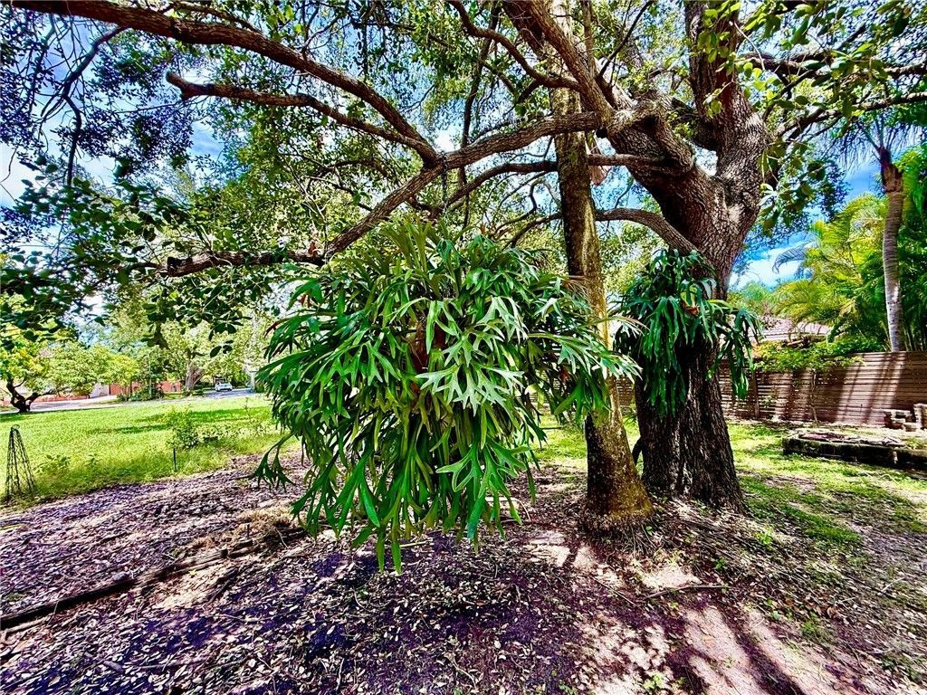 7940 SW 166th Street, Palmetto Bay, FL 33157 Photo
