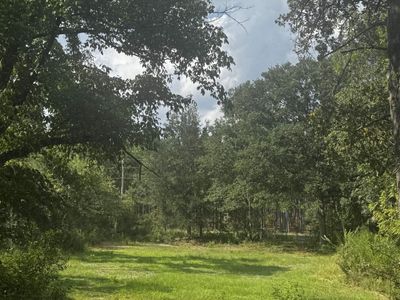 116 Rob Teal Road, Patrick, SC 29584