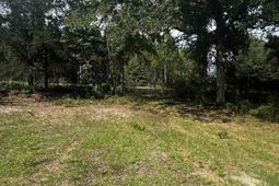 116 Rob Teal Road photo 4