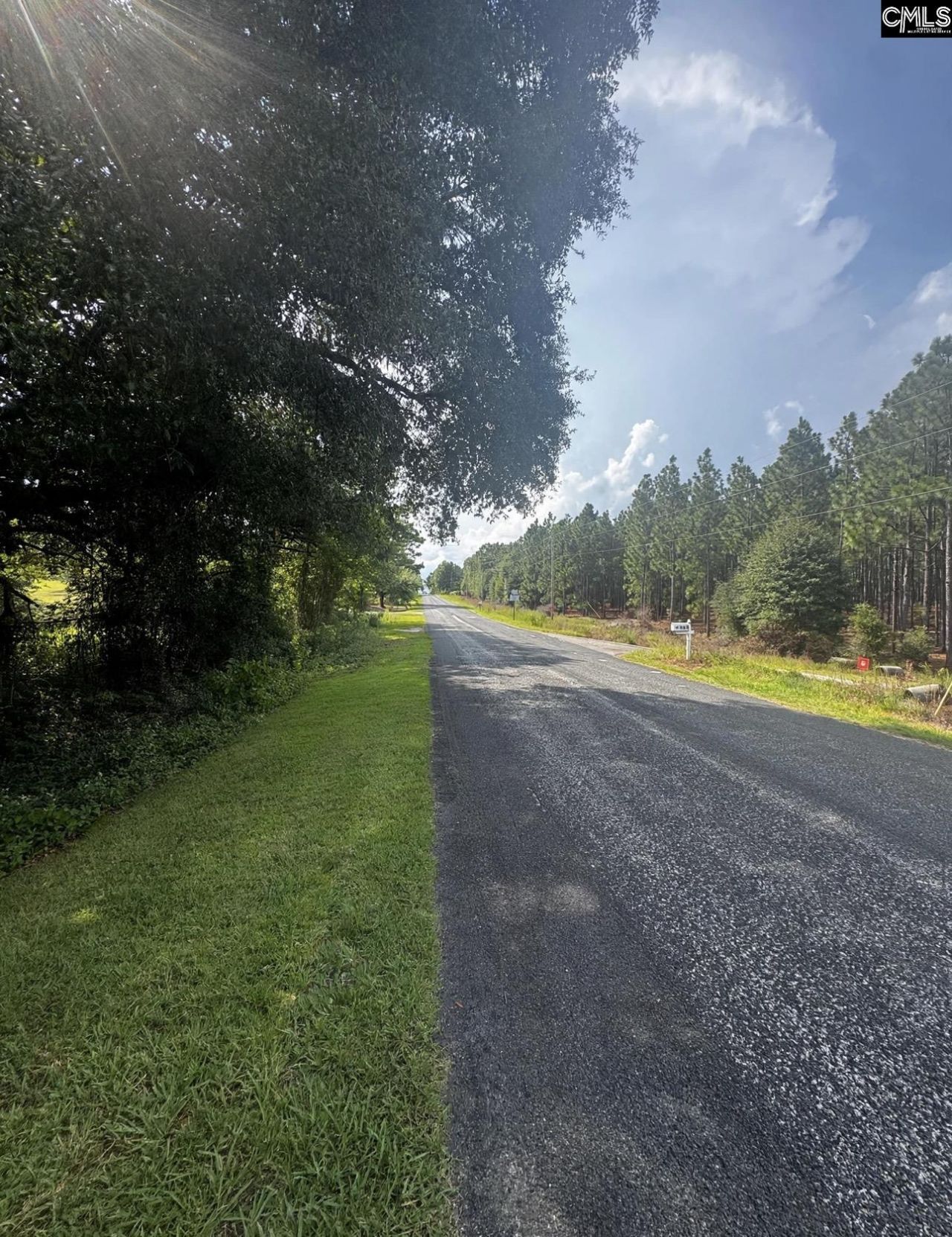 116 Rob Teal Road Photo 7