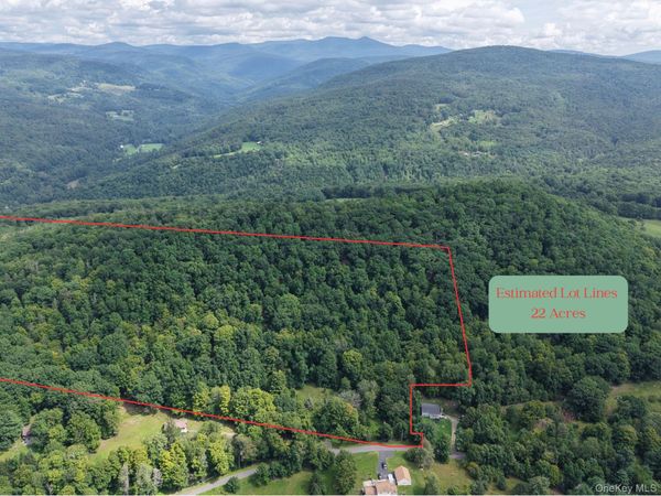 Twinshaven Road , Grahamsville, NY 12765
