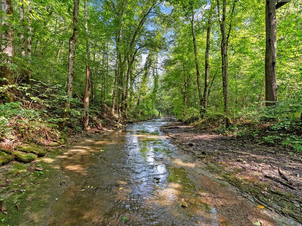 599 Jake Rockwell Rd , Celina, TN 38551