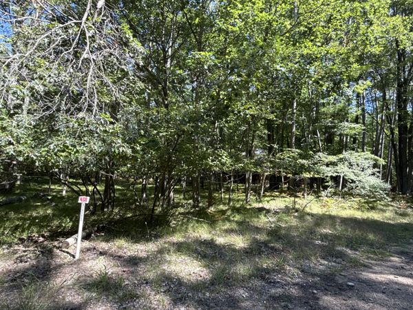 12060 Chinook Drive, Unit 408, Stanwood, MI 49346