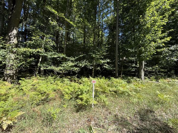 12100 Belle Isle Drive, Unit 369, Stanwood, MI 49346