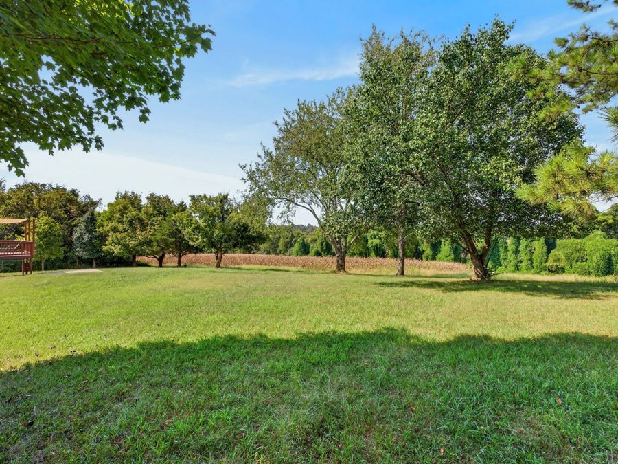 Property Image 43