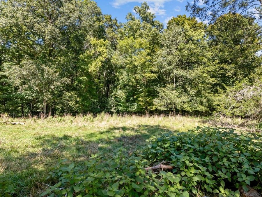 Property Image 47