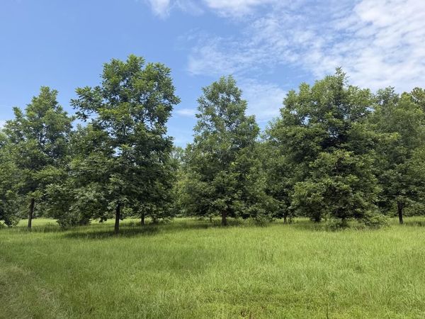 00 County Road 102, Oxford, MS 38655