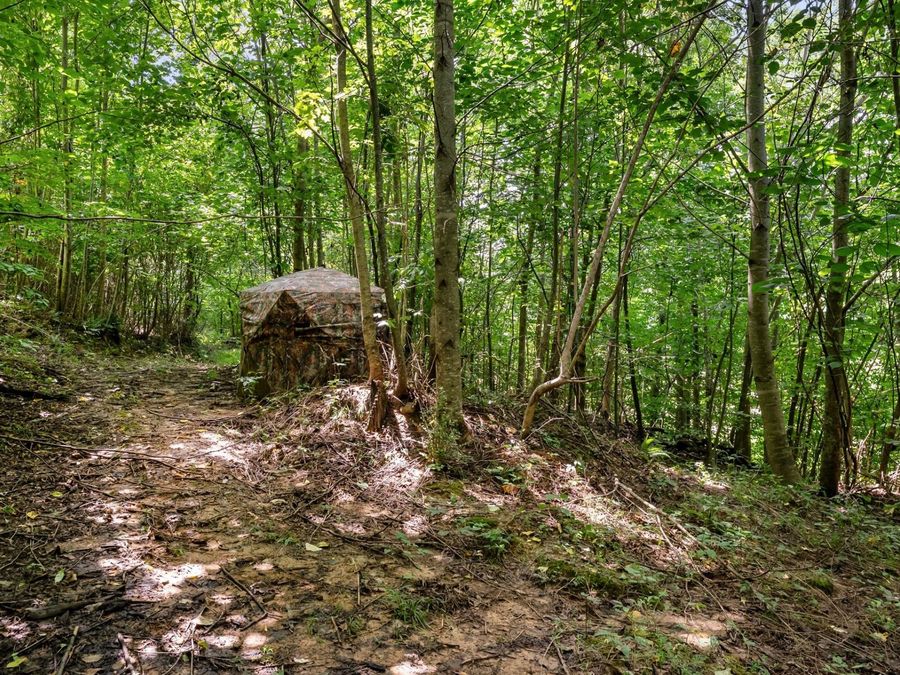 Property Image 52