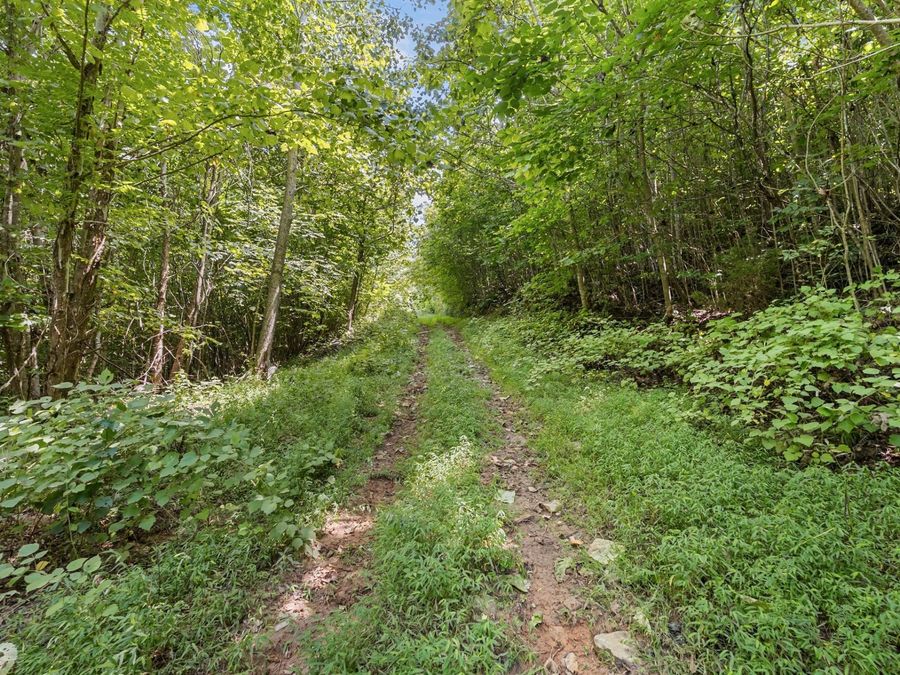 Property Image 61