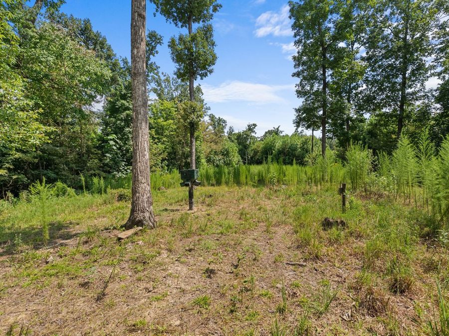 Property Image 63