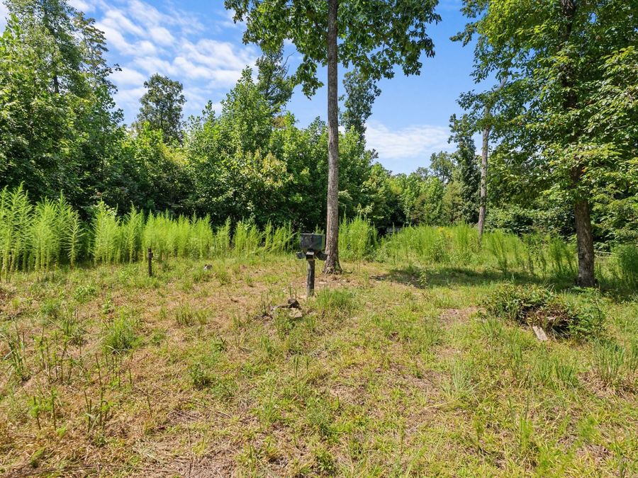 Property Image 64