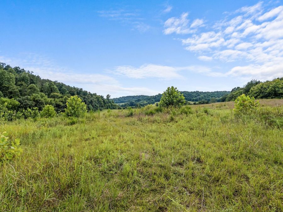 Property Image 70