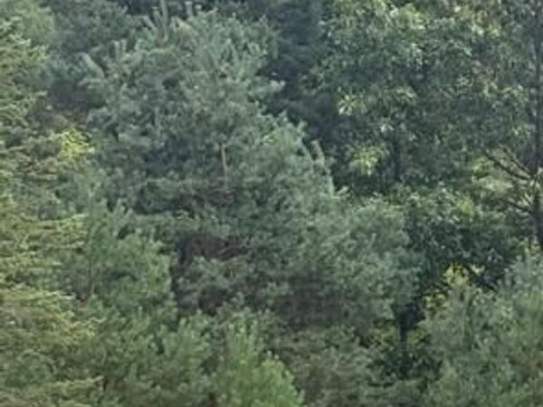 5480 Blakely - Parcel 3 Drive NE, Belmont, MI 49306