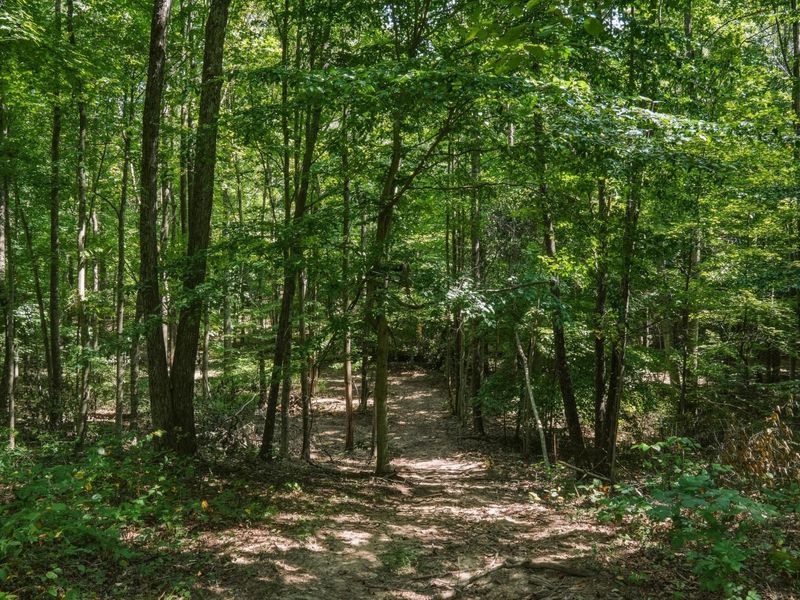 770 Strutt Road, Piketon, OH 45661 Photo 24