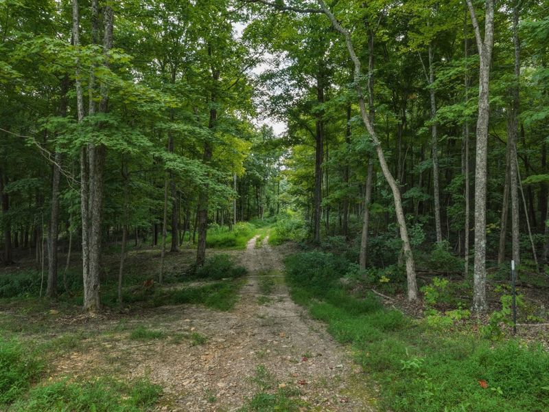 770 Strutt Road, Piketon, OH 45661 Photo 28