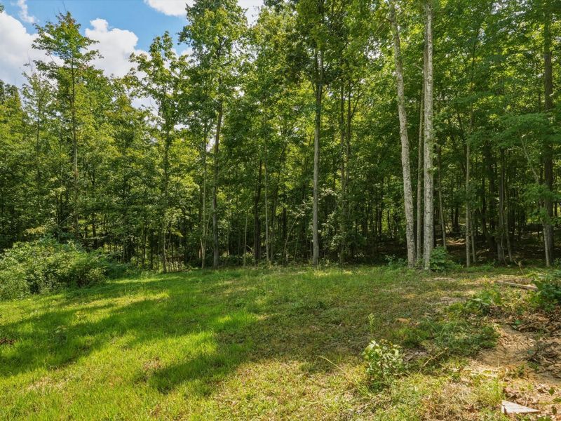 770 Strutt Road, Piketon, OH 45661 Photo 5