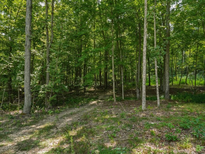 770 Strutt Road, Piketon, OH 45661 Photo 7