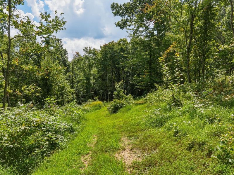 770 Strutt Road, Piketon, OH 45661 Photo 9