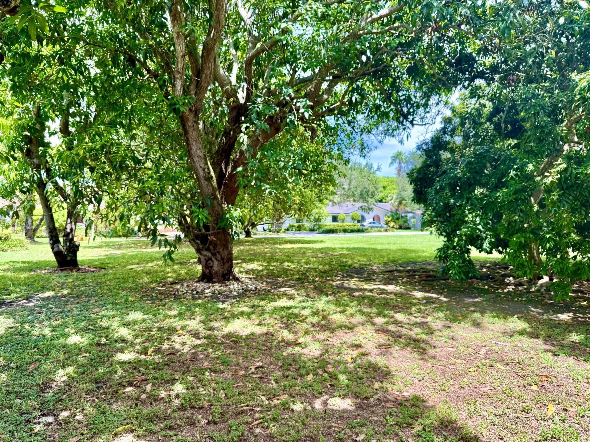 7940 SW 166th Street, Palmetto Bay, FL 33157 Photo