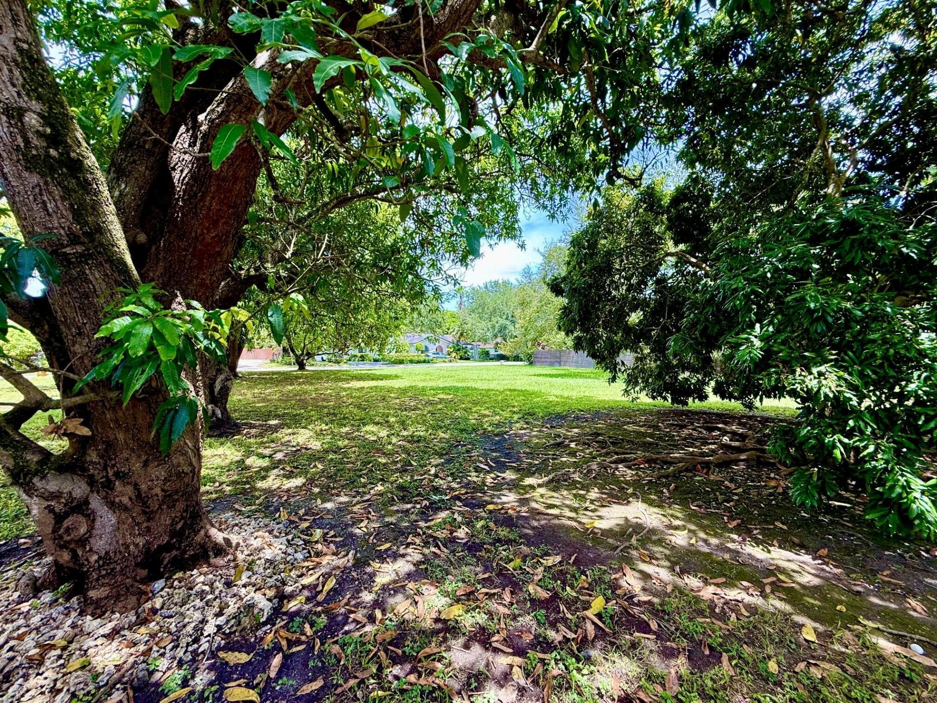 7940 SW 166th Street, Palmetto Bay, FL 33157 Photo