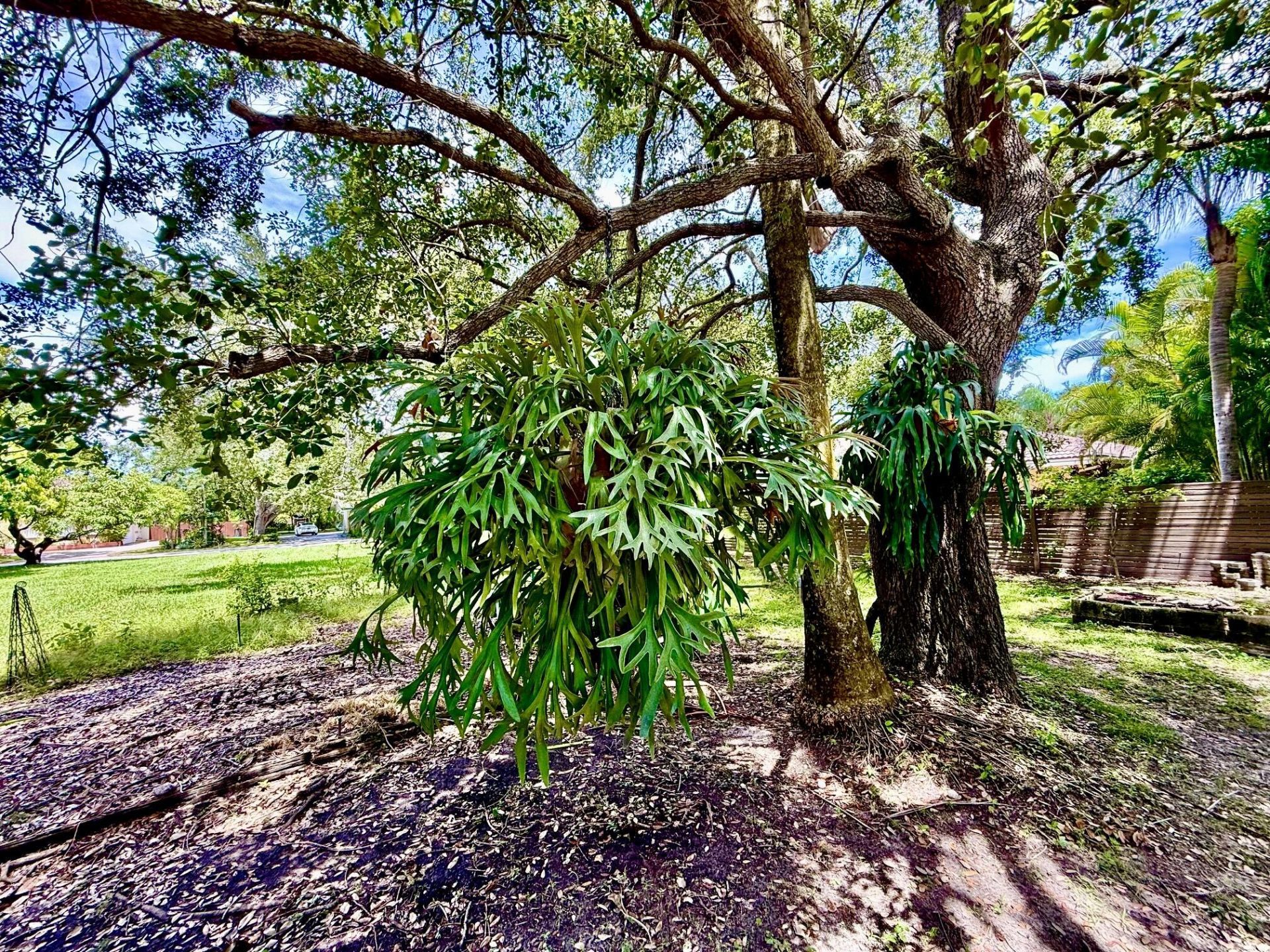 7940 SW 166th Street, Palmetto Bay, FL 33157 Photo