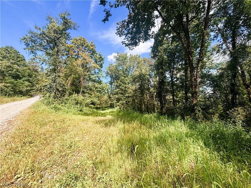 62515 Wine Road, Quaker City, OH 43773 Photo 3