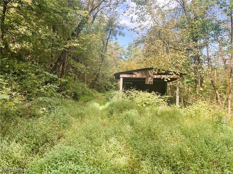 62515 Wine Road, Quaker City, OH 43773 Photo 4