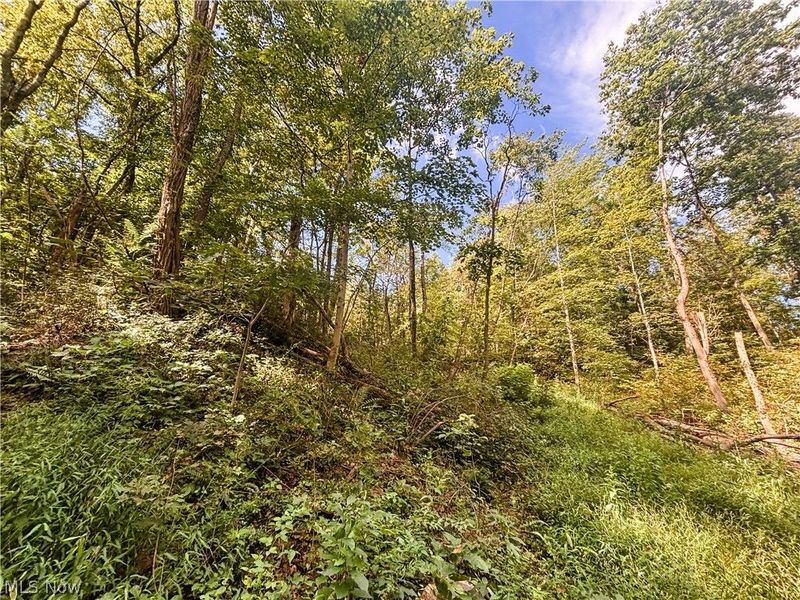 62515 Wine Road, Quaker City, OH 43773 Photo 5